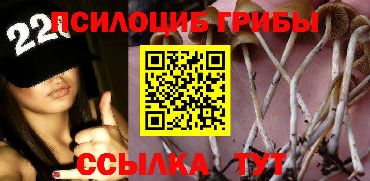 Знаменск  Псилоцибиновые грибы MAGIC MUSHROOMS  Вход с VPN 